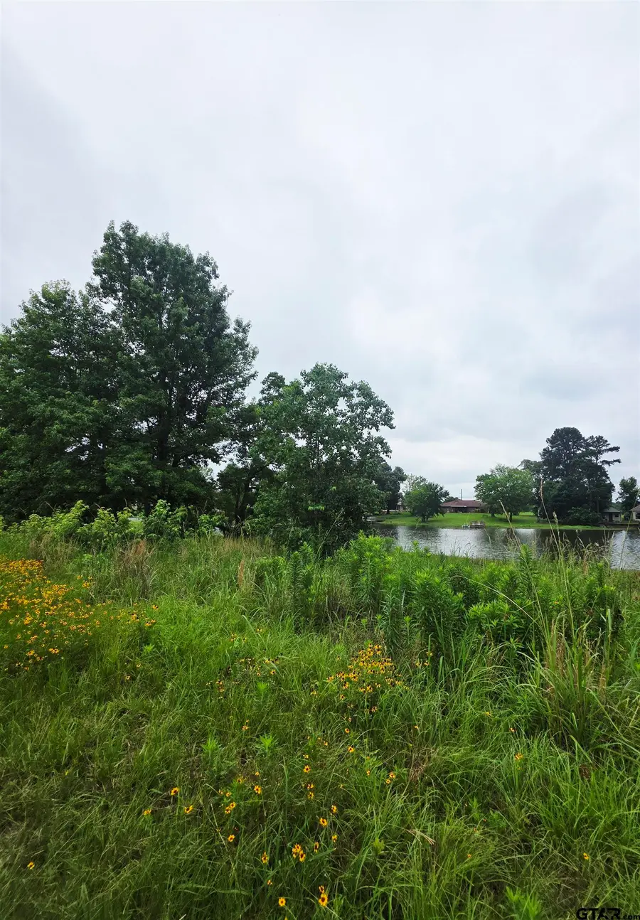 TBD CR 2117, Quitman, TX 75783 - #3