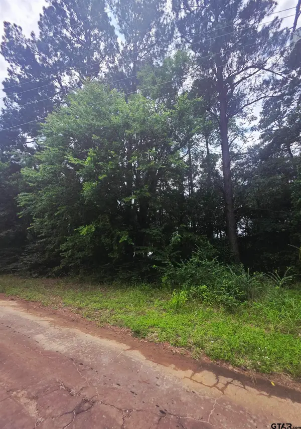 TBD CR 2131, Quitman, TX 75783
