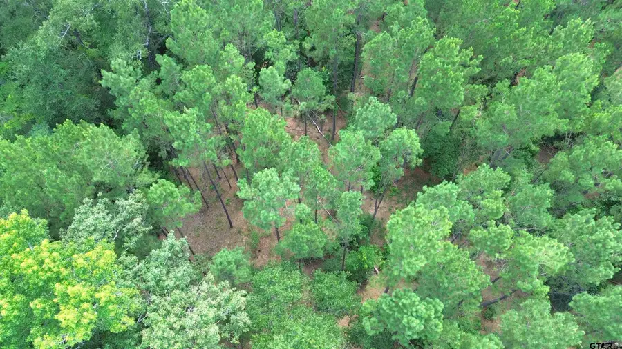 TBD CR 4030, Crockett, TX 75835 - #3