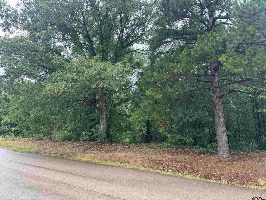 18029 County Road 4108, Lindale, TX 75771 - #2