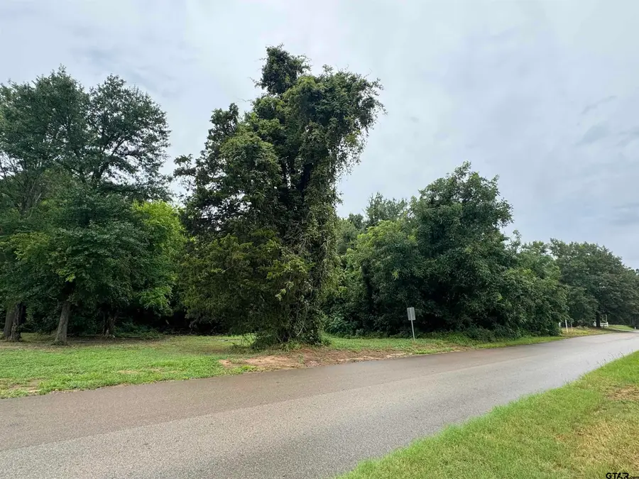 18029 County Road 4108, Lindale, TX 75771 - #3