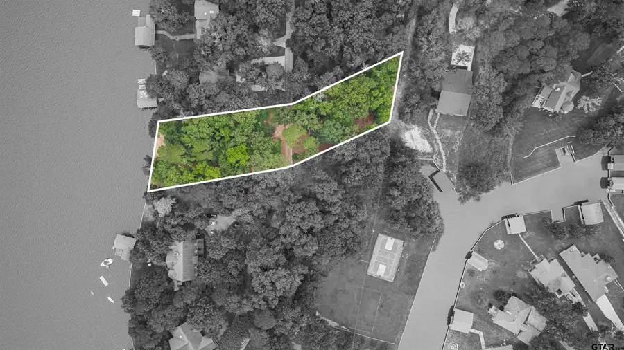 TBD Naus Drive, Winnsboro, TX 75494 - #2
