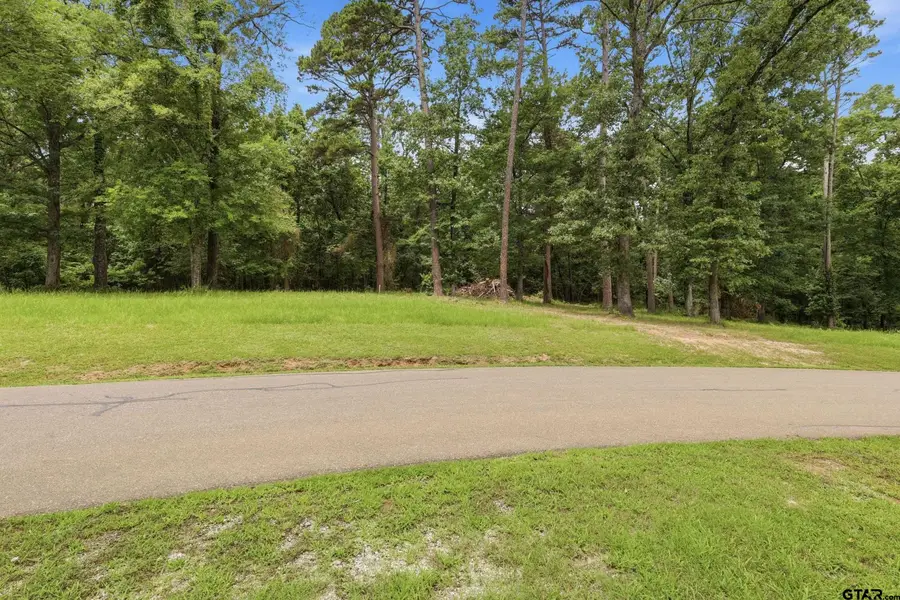Lot 44 Sterling Shores Dr, Scroggins, TX 75480 - #2