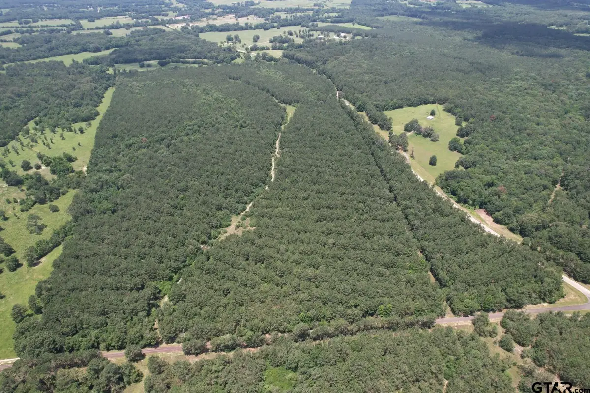 TBD Fm 999, Gary, TX 75643 - #1