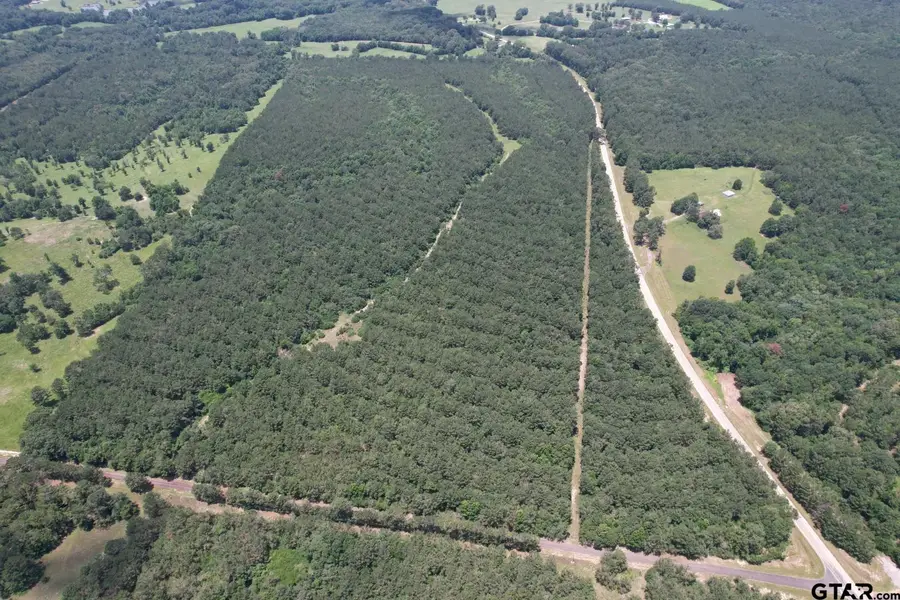 TBD Fm 999, Gary, TX 75643 - #3
