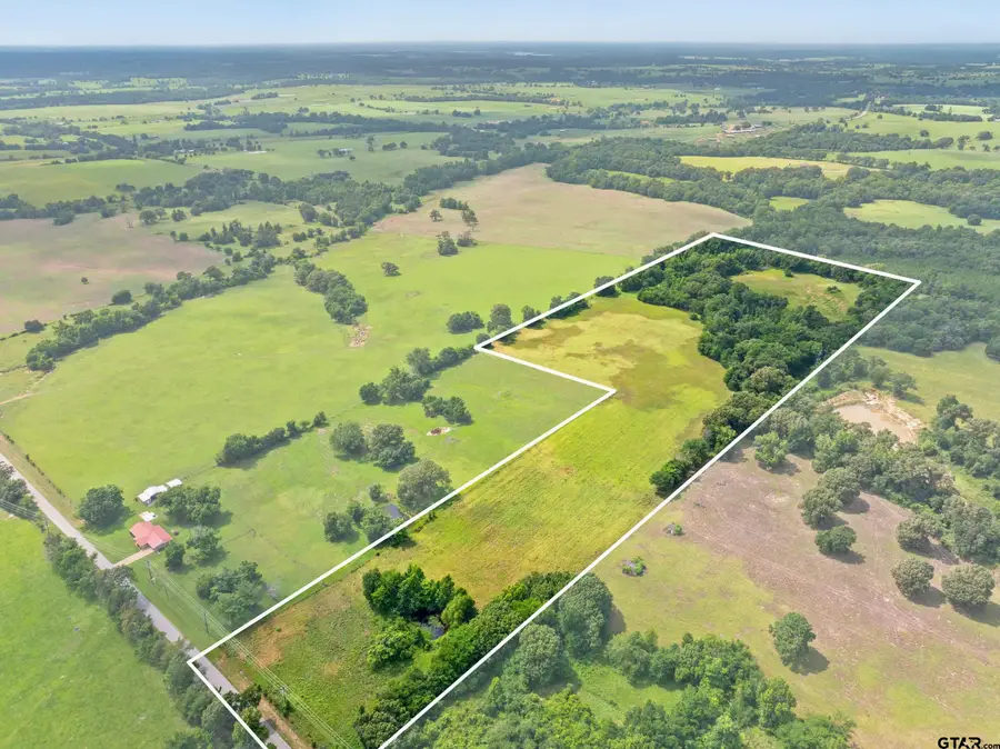 0 CR 4336, Larue, TX 75770 - #3