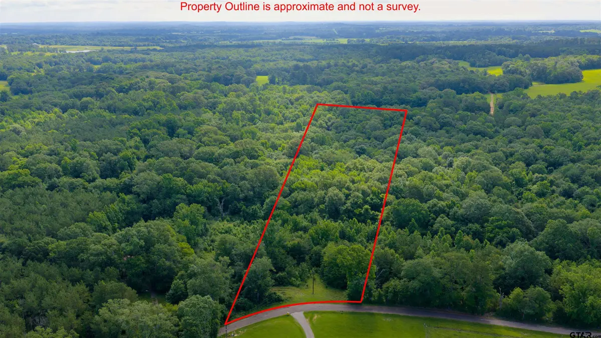 TBD S County Road 342, Henderson, TX 75654 - #1