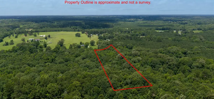 TBD S County Road 342, Henderson, TX 75654 - #2