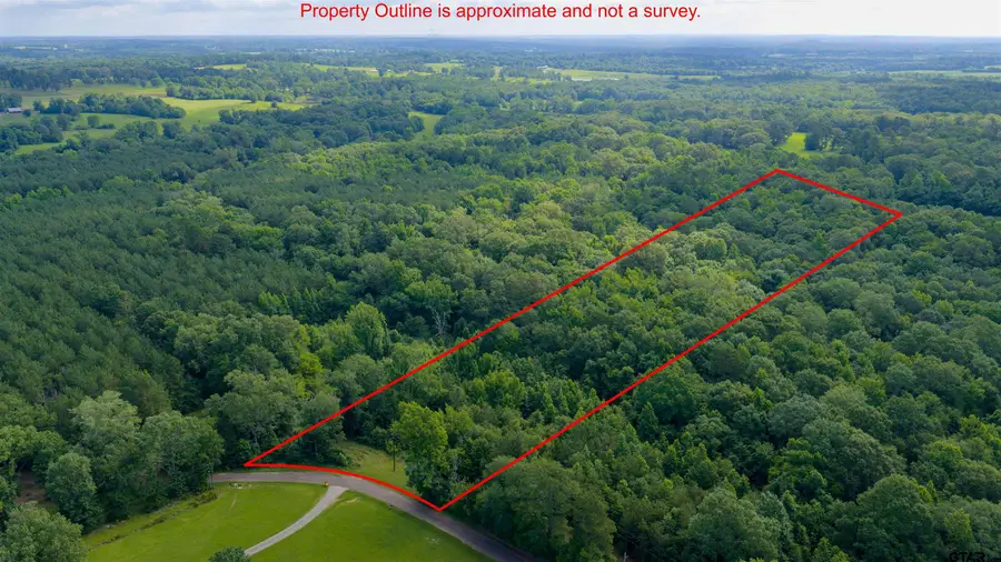 TBD S County Road 342, Henderson, TX 75654 - #3