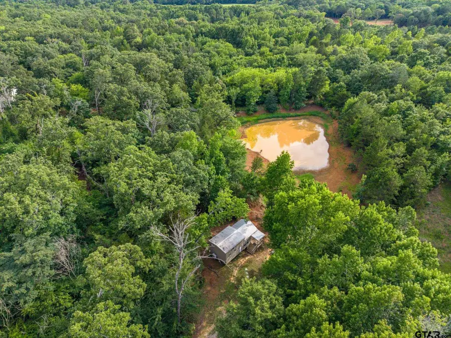 16384 County Road 440, Lindale, TX 75771 - #3