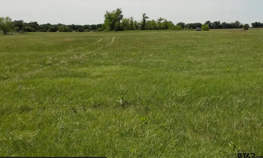TBD Hwy 24, Paris, TX 75460 - #2