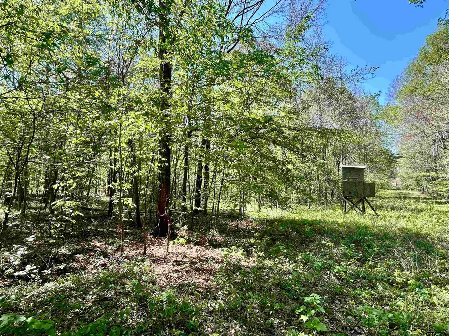 TBD Sh 323, Overton, TX 75684 - #2