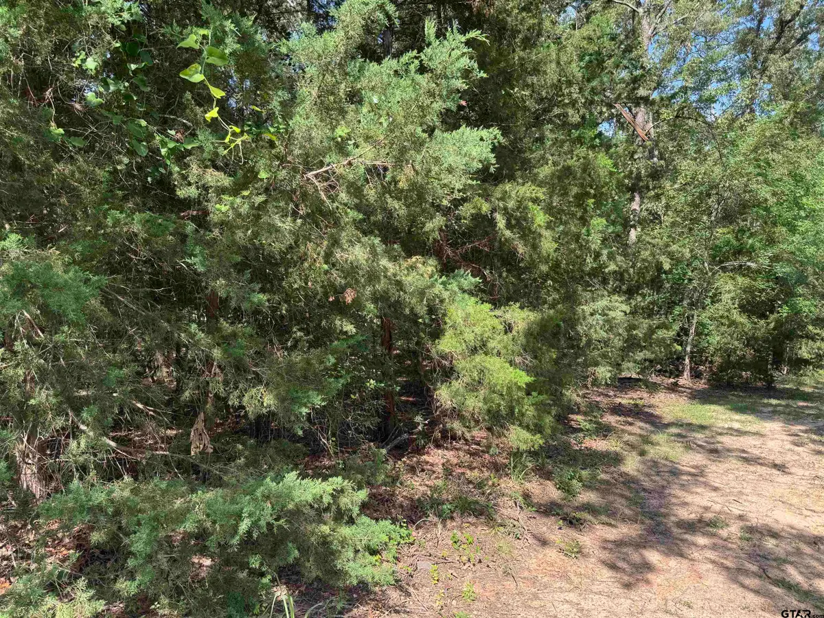 Lot 4 Cypress Creek Drive, Mount Vernon, TX 75457 - #1
