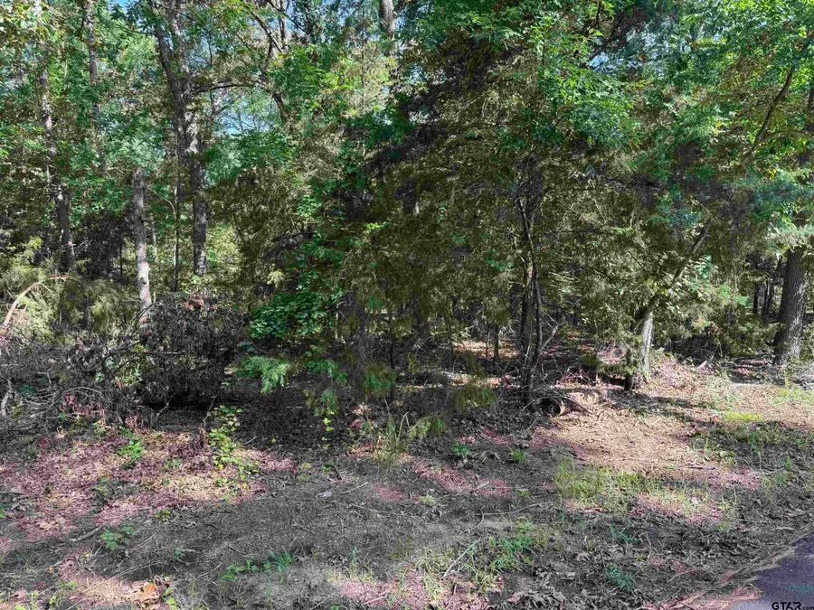 Lot 4 Cypress Creek Drive, Mount Vernon, TX 75457 - #3