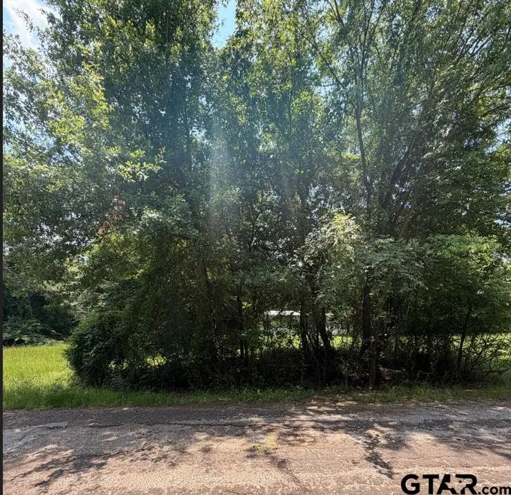 TBD Chadwick, Chandler, TX 75758 - #3