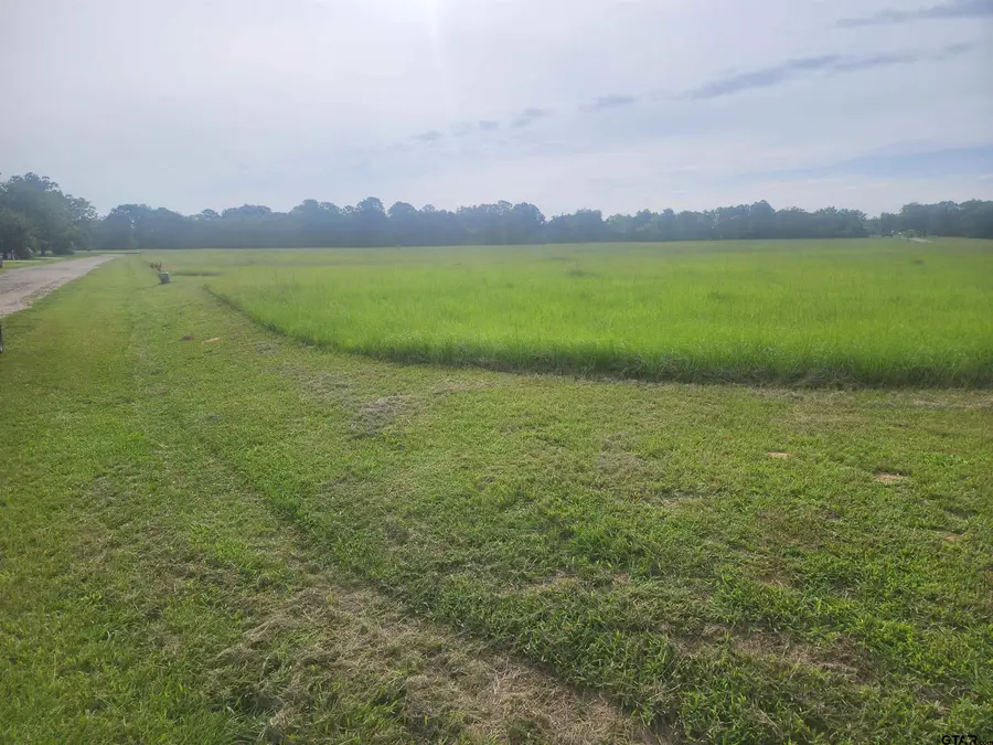 TBD Cr 2136, Pittsburg, TX 75686 - #2