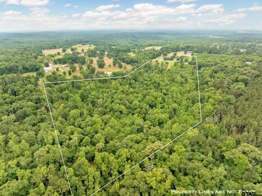 Tbd Fm 2419, Palestine, TX 75801 - #2