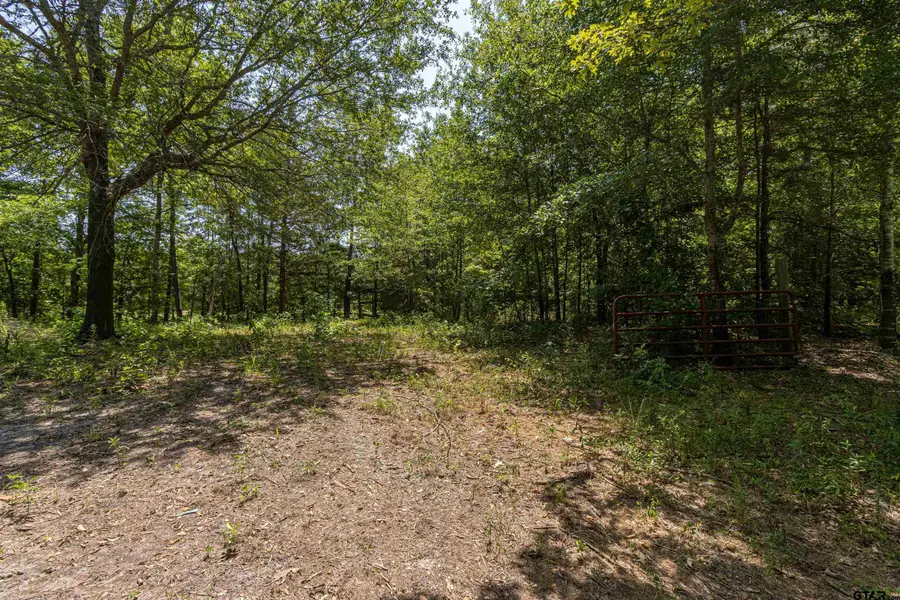7603 Lakeshore Dr, Tyler, TX 75707 - #2