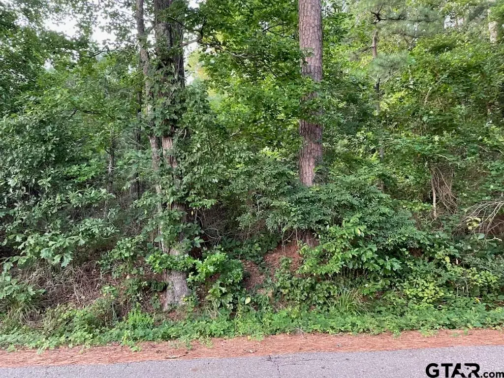 TBD County Road 4705, Troup, TX 75789 - #1