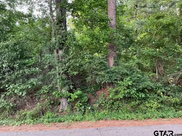 TBD County Road 4705, Troup,  75789