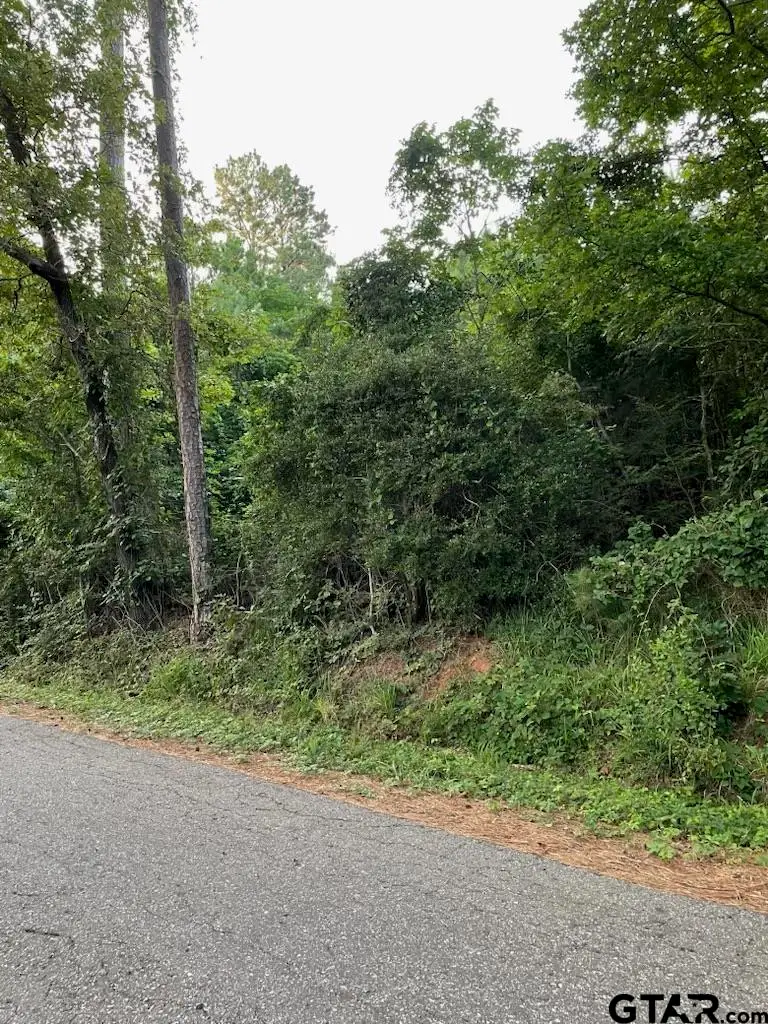 TBD County Road 4705, Troup, TX 75789 - #2