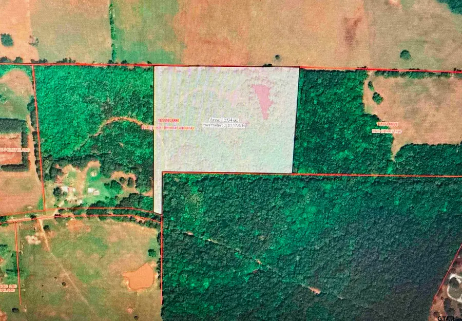 TBD County Road 4705, Troup, TX 75789 - #3