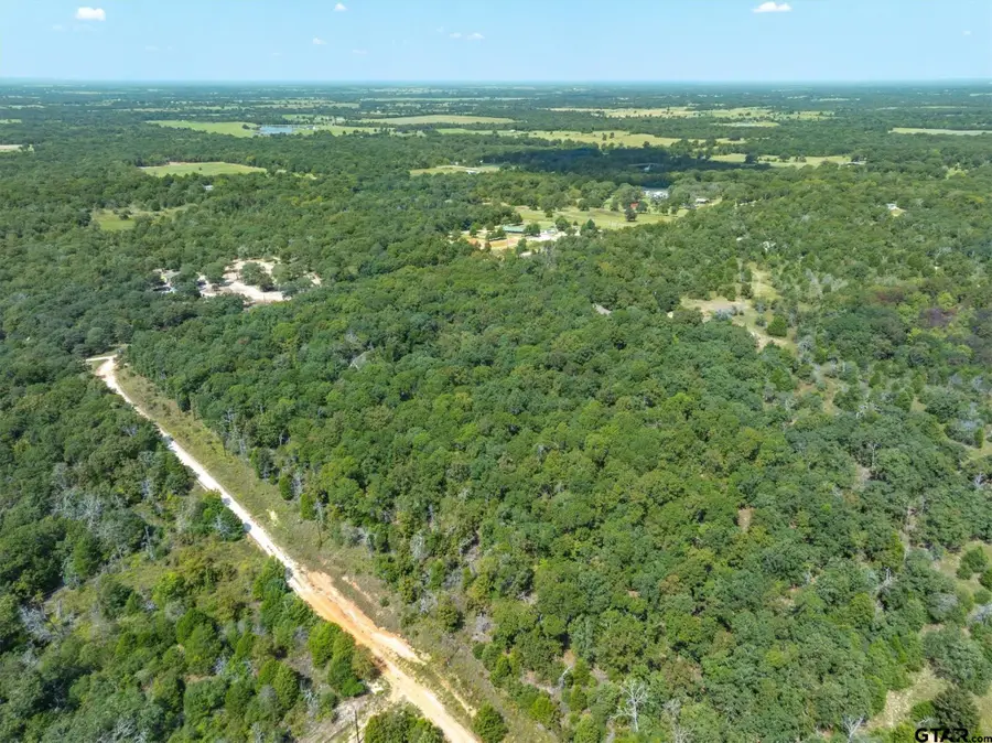 TBD Private Road 6926, Eustace, TX 75124 - #2