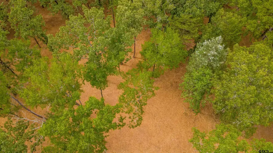 19385 Fm 16 W, Lindale, TX 75771 - #3