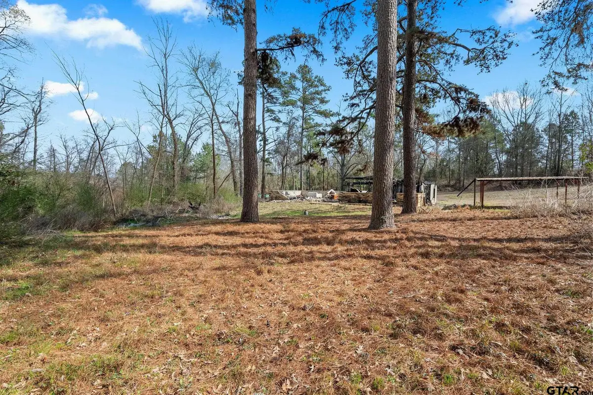 282 County Road 1100, Daingerfield, TX 75638 - #1