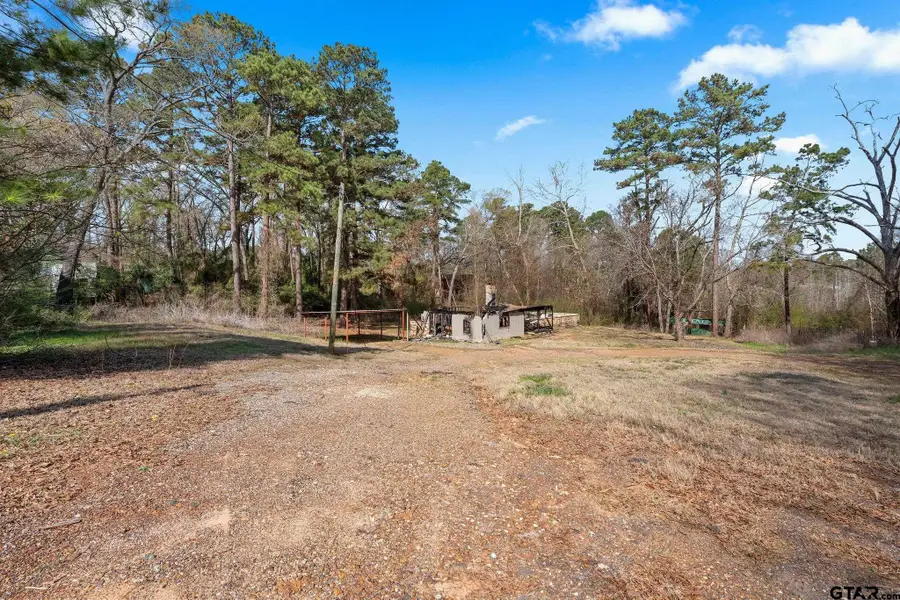 282 County Road 1100, Daingerfield, TX 75638 - #2