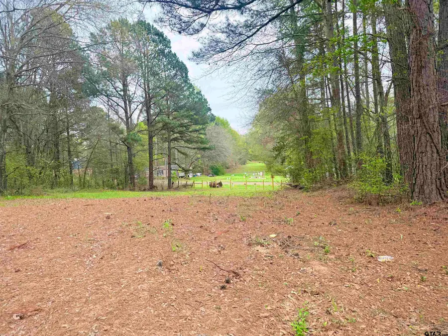 10933 County Road 384, Tyler, TX 75708 - #3