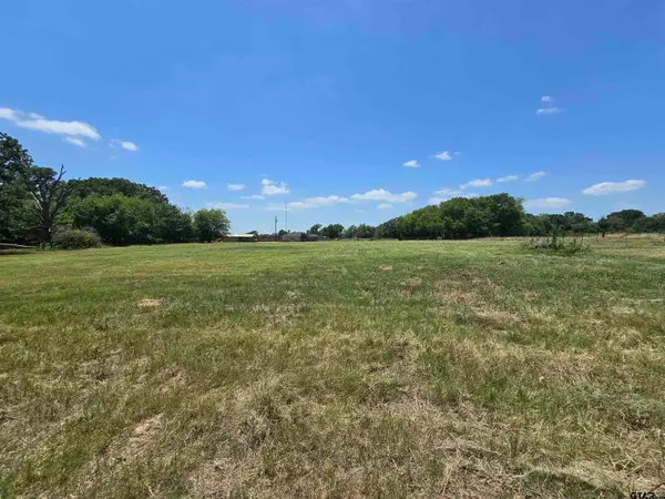 0 Vz County Road 1181, Grand Saline,  75140