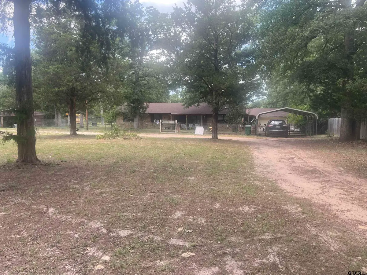 976 E Water Tower Rd, Big Sandy, TX 75755 - #1