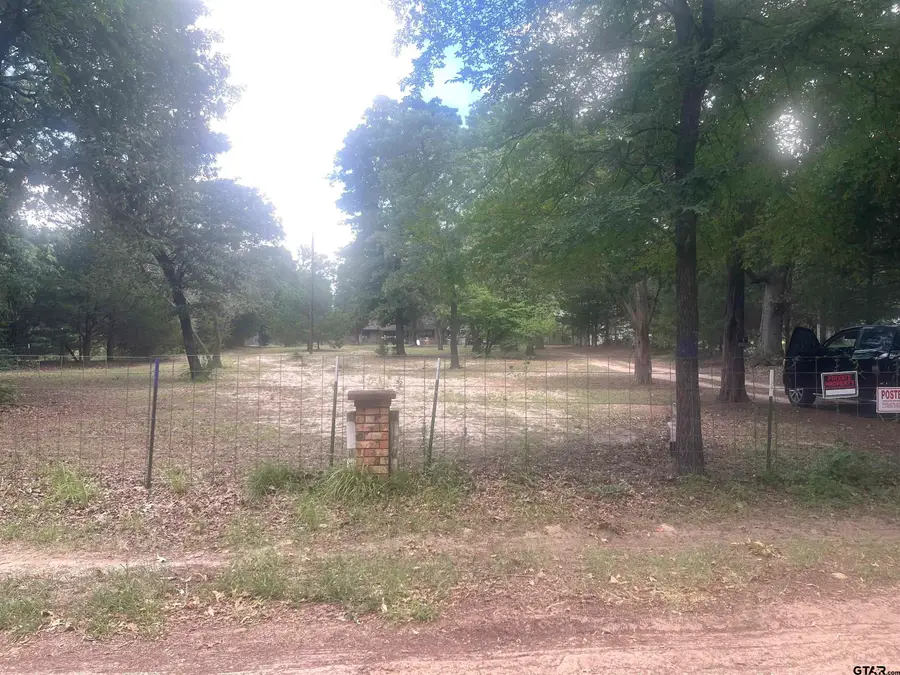 976 E Water Tower Rd, Big Sandy, TX 75755 - #3