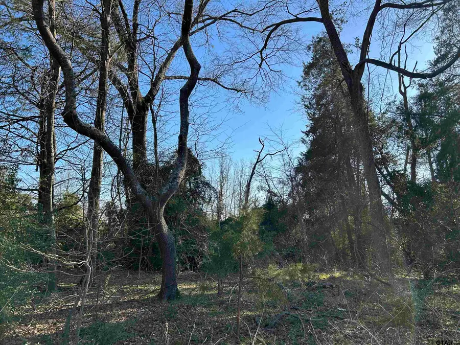 TBD Cr 3324, Pittsburg, TX 75686 - #2
