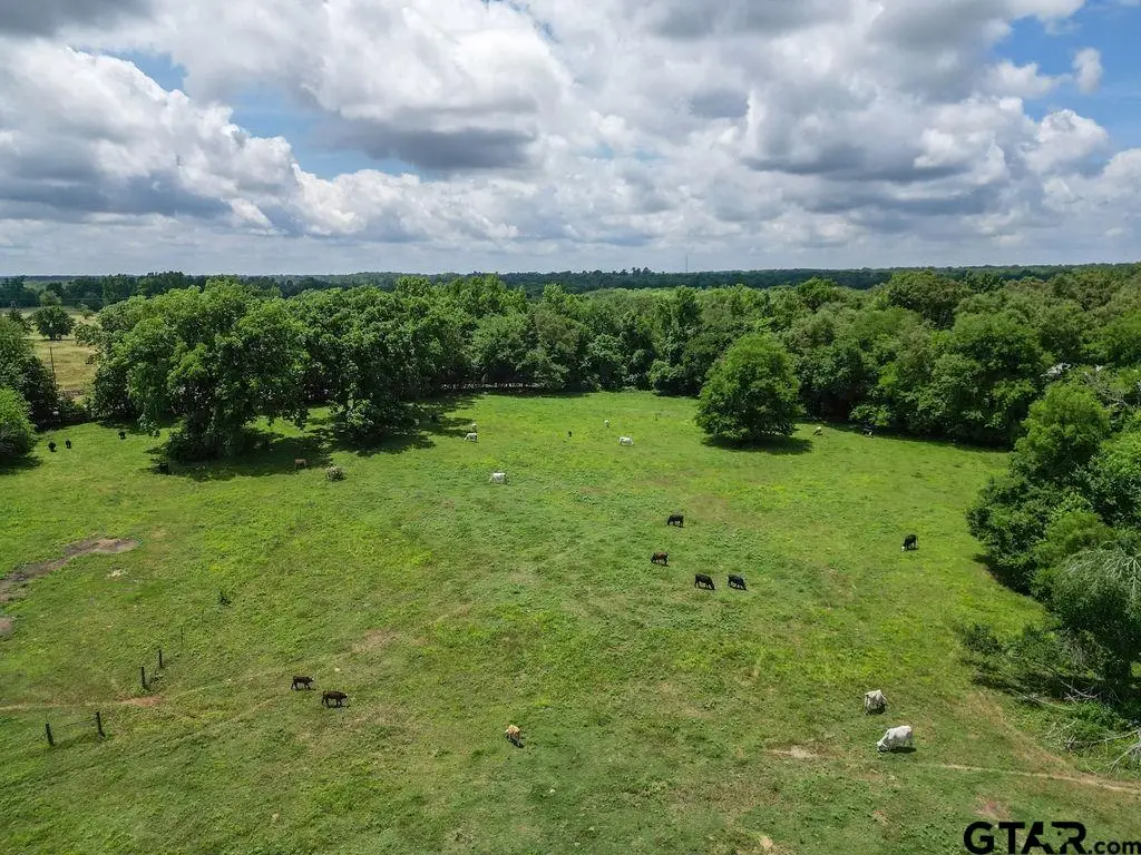 4418 Fm 1000, Cookville, TX 75455 - #1