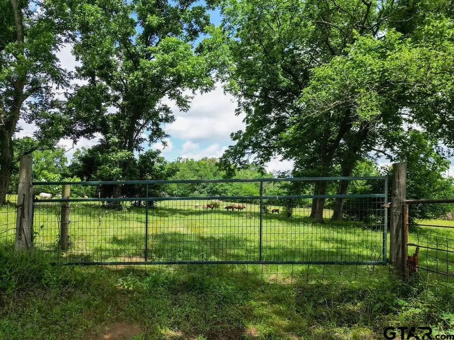 4418 Fm 1000, Cookville, TX 75455 - #3