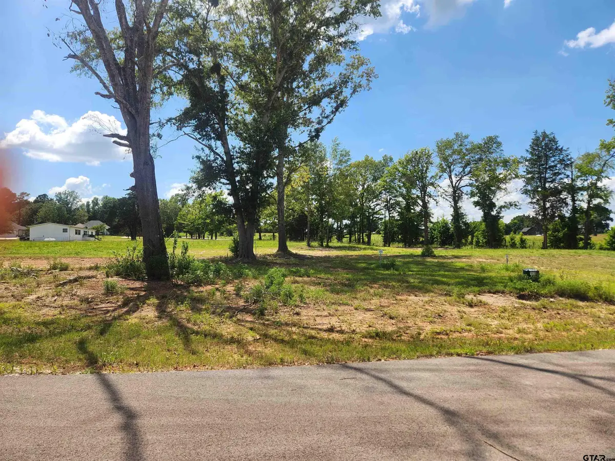 20034 Dews Ct Lot 3, Troup, TX 75789 - #1