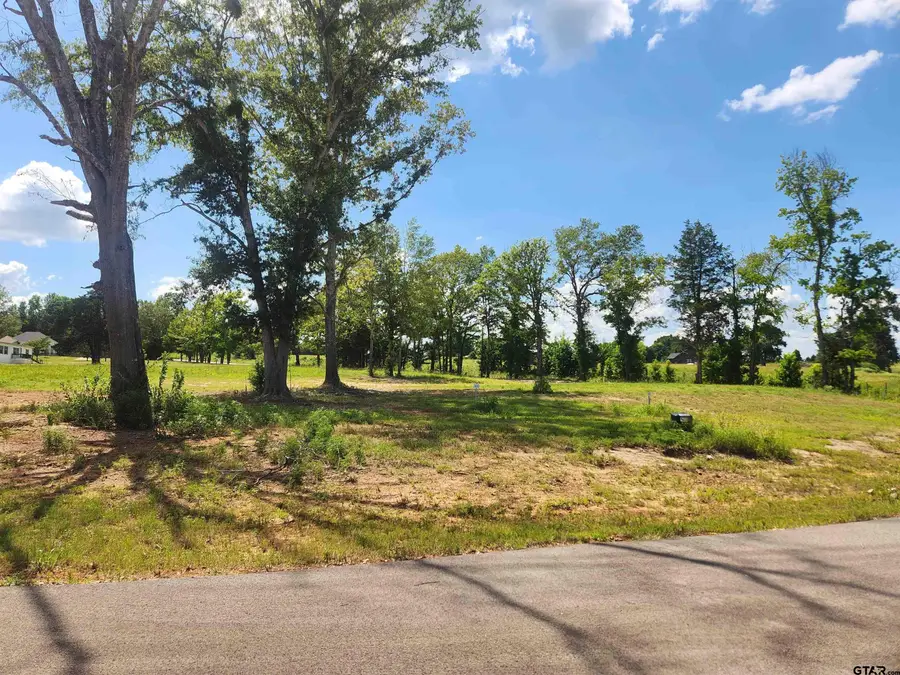 20034 Dews Ct Lot 3, Troup, TX 75789 - #2