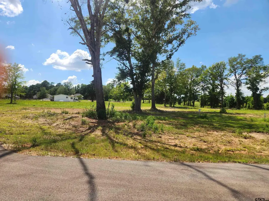 20034 Dews Ct Lot 3, Troup, TX 75789 - #3