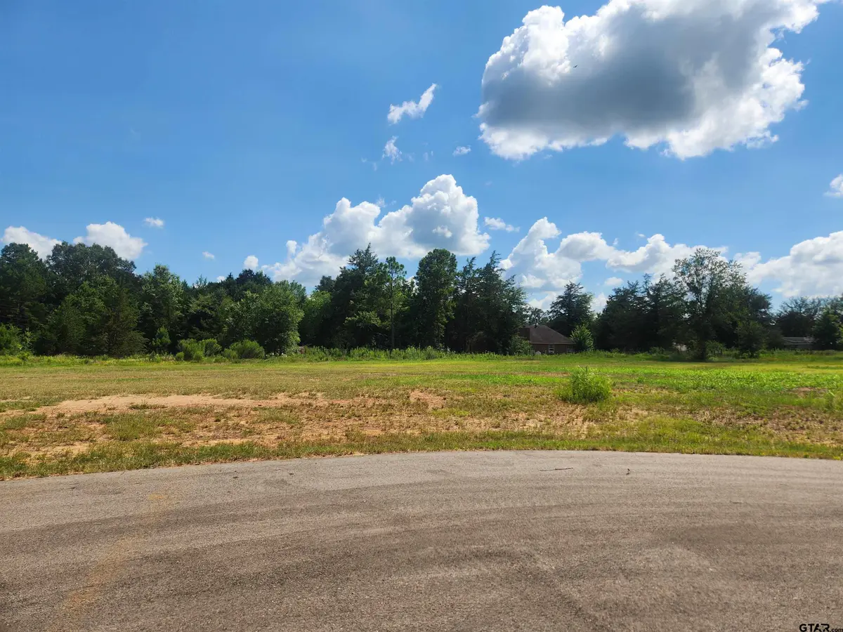 20048 Dews Ct Lot 5, Troup, TX 75789 - #1