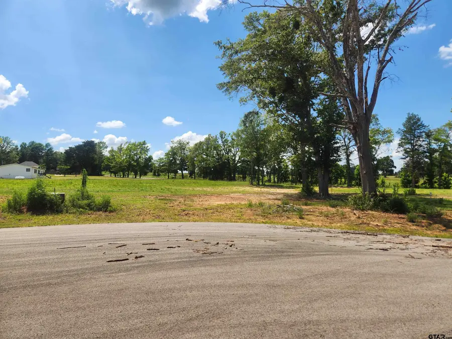 20048 Dews Ct Lot 5, Troup, TX 75789 - #3