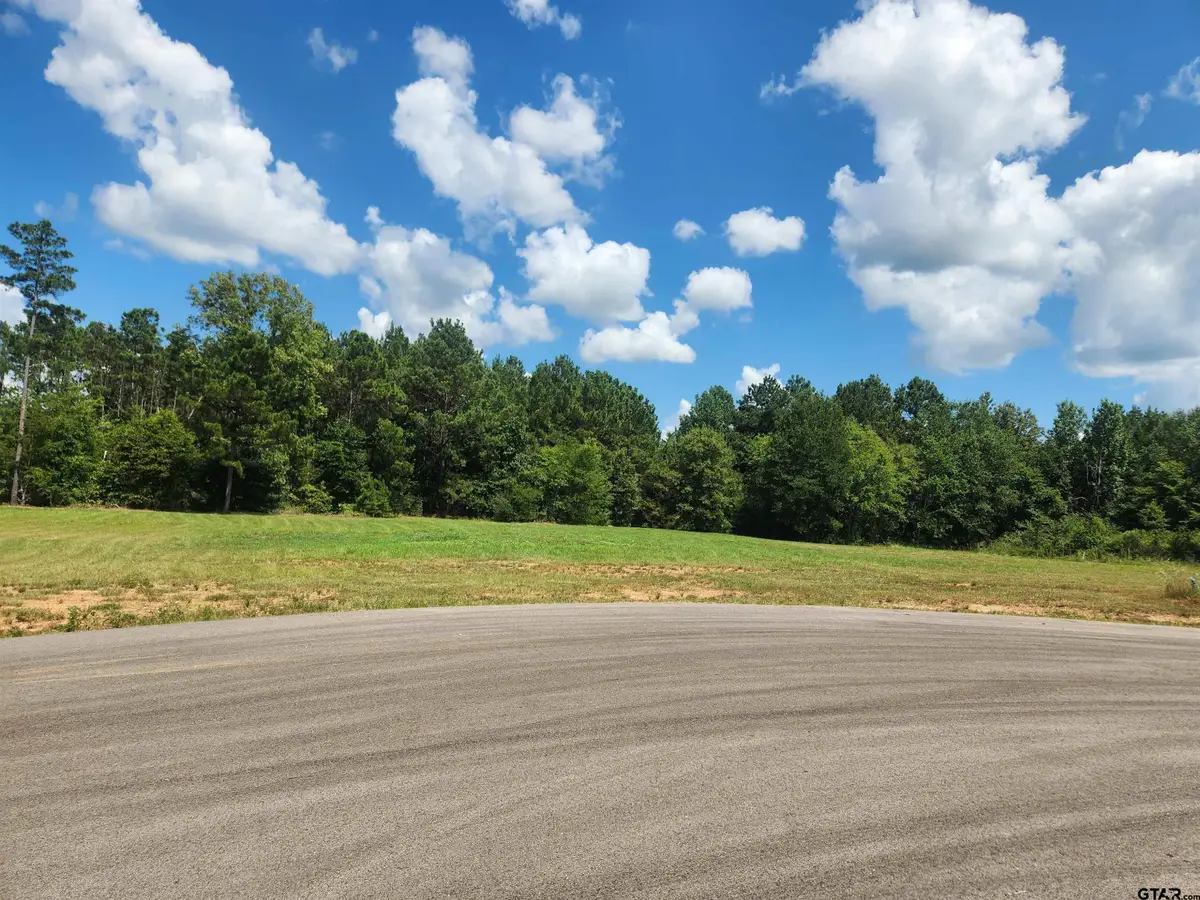 20047 Dews Ct Lot 6, Troup, TX 75789 - #1