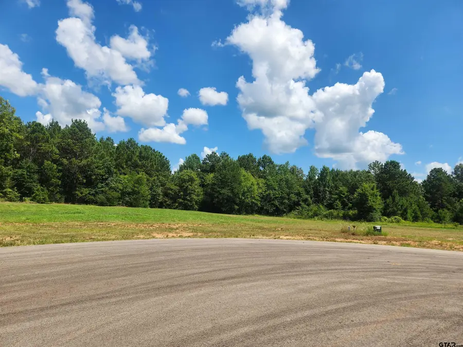 20047 Dews Ct Lot 6, Troup, TX 75789 - #2