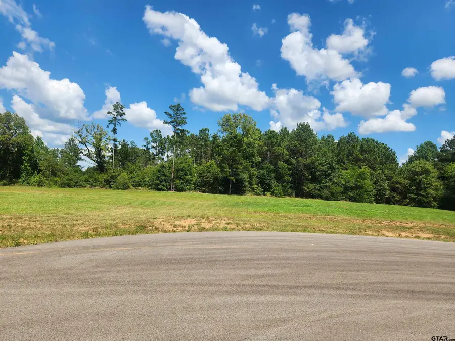 20047 Dews Ct Lot 6, Troup, TX 75789 - #3