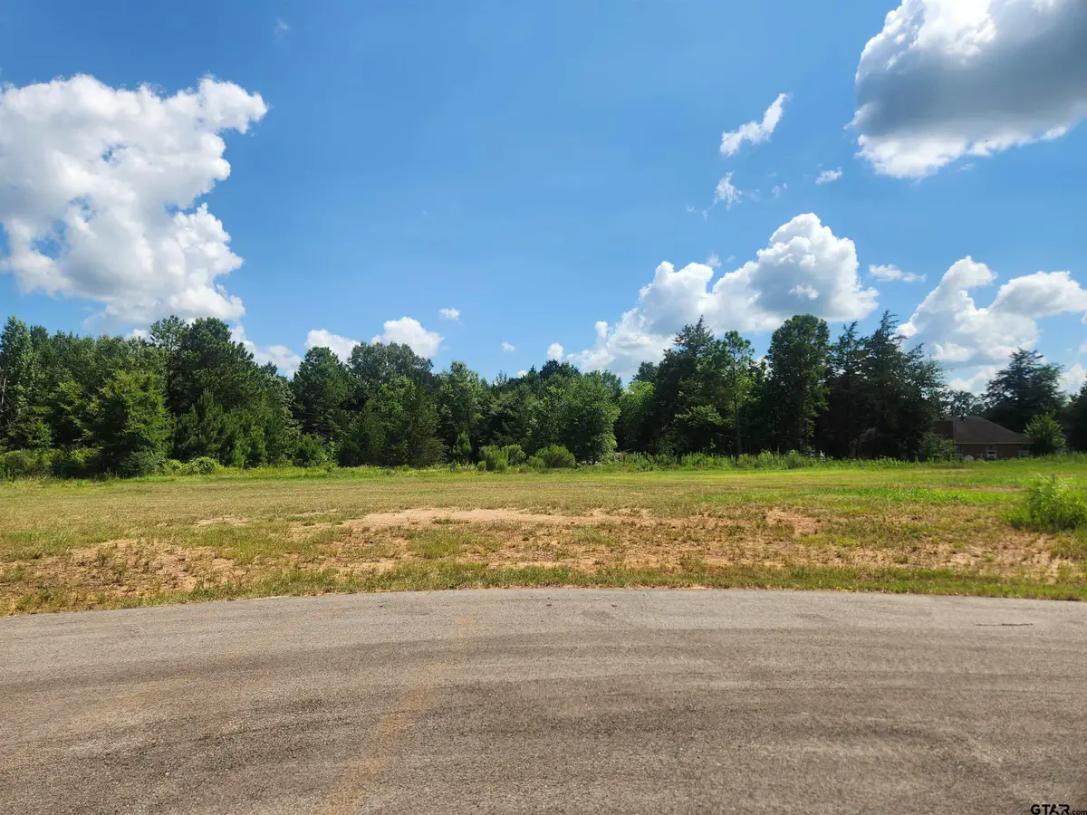 20055 Dews Ct Lot 7, Troup, TX 75789 - #1