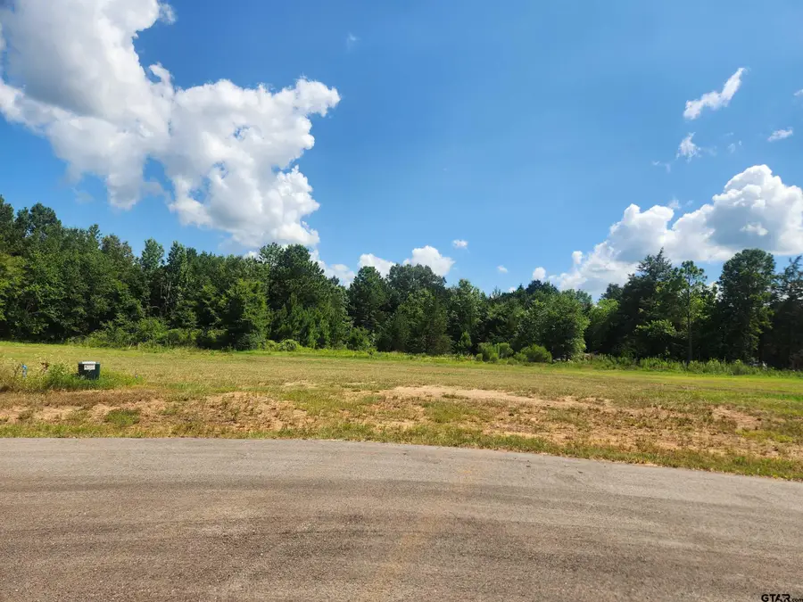 20055 Dews Ct Lot 7, Troup, TX 75789 - #2