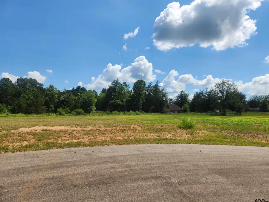 20055 Dews Ct Lot 7, Troup, TX 75789 - #3
