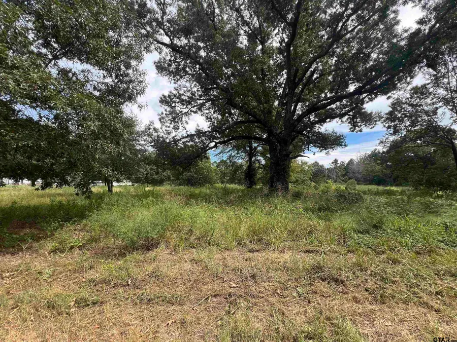 TBD Cr 422, Lindale, TX 75771 - #2