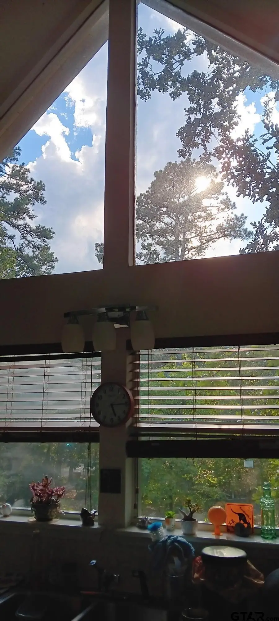 275 Wildwood Trail, Holly Lake Ranch, TX 75765 - #3